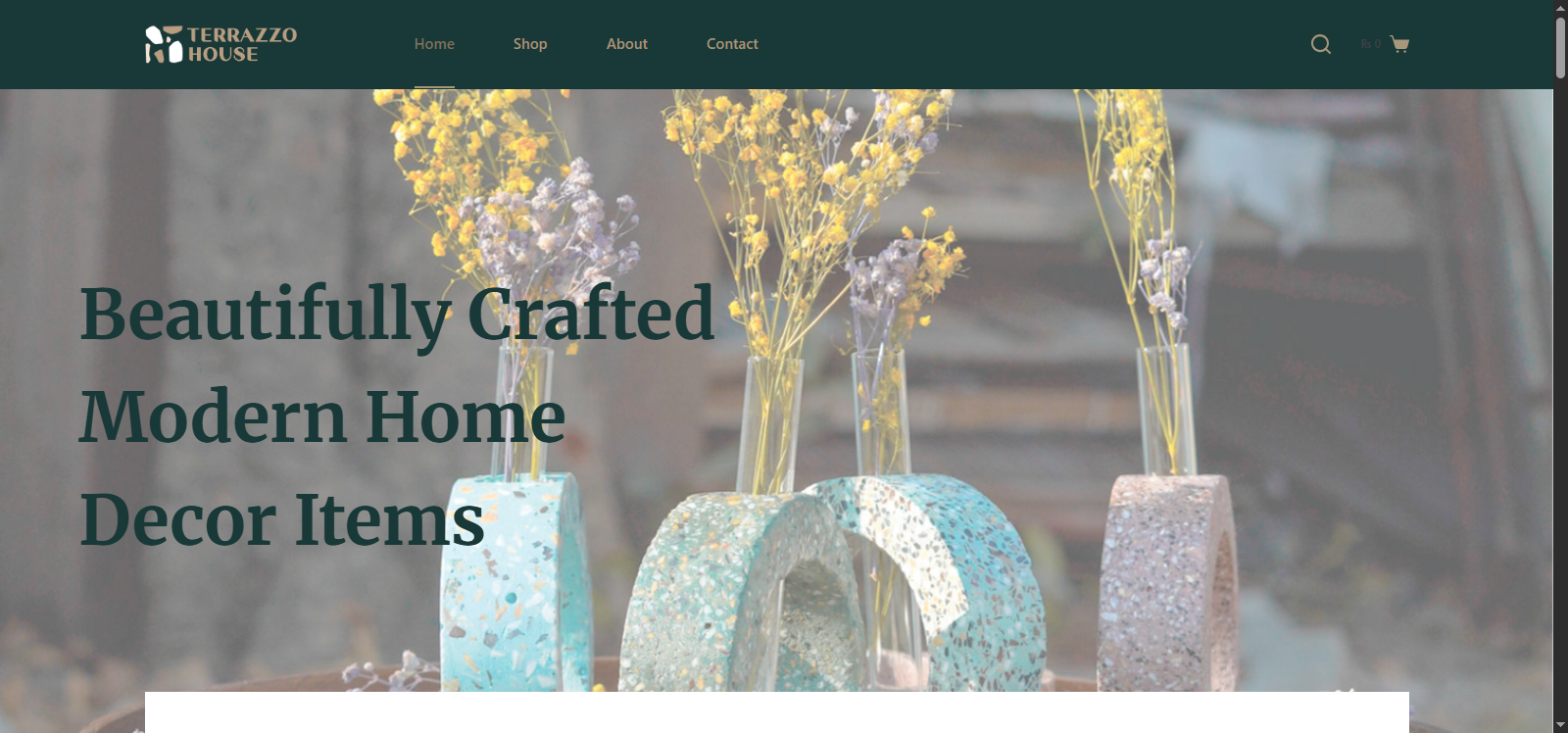 Website Development screenshot 2025 12 04 155038